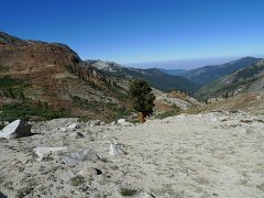 MineralKingLoop 285